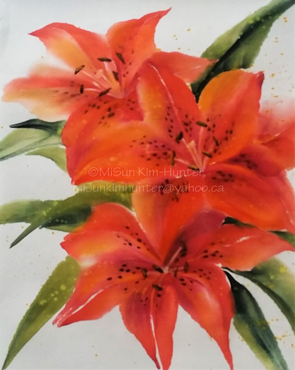 tiger lily sample